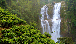 explore-banner